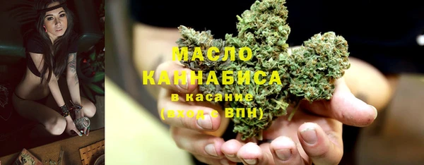 тгк Гусь-Хрустальный