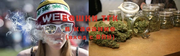 тгк Гусь-Хрустальный