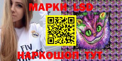 стаф Донецк