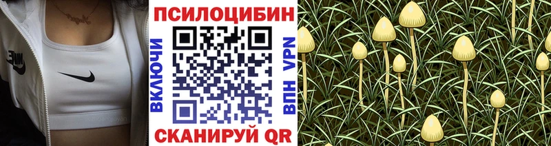 ссылка на мегу ССЫЛКА  Гусев  Галлюциногенные грибы ЛСД  где купить наркоту 