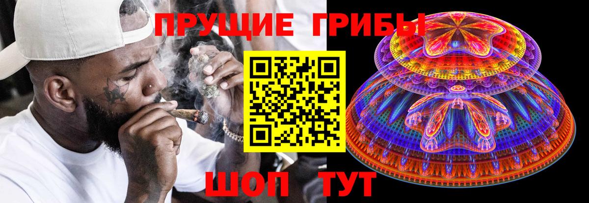 Галлюциногенные грибы Cubensis Гусев