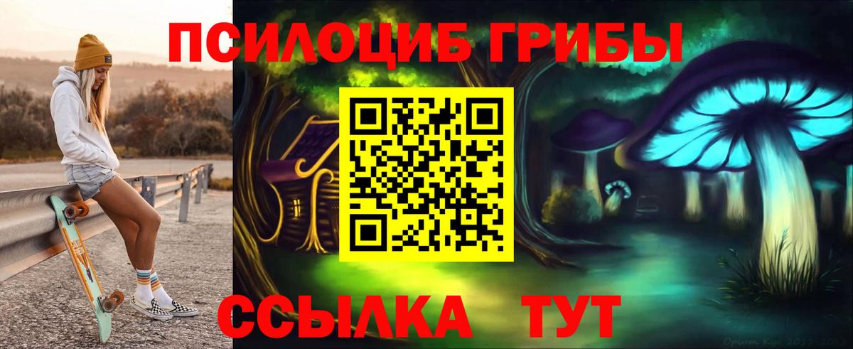Гусев  Псилоцибиновые грибы Magic Shrooms  Псилоцибиновые грибы Psilocybe  Вход с VPN 